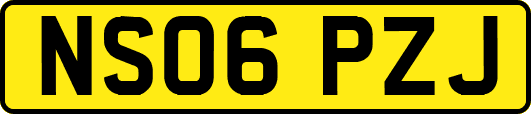 NS06PZJ