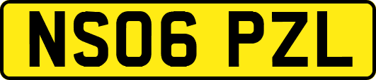 NS06PZL