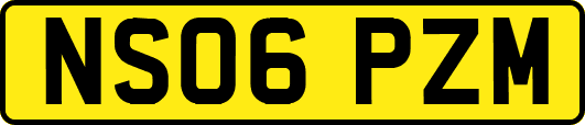 NS06PZM