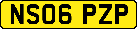 NS06PZP