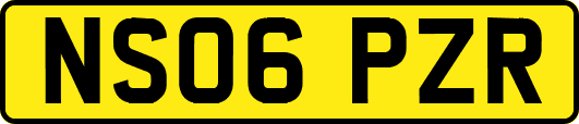 NS06PZR