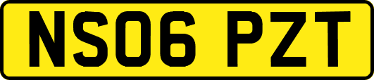 NS06PZT