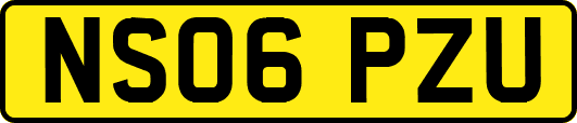 NS06PZU
