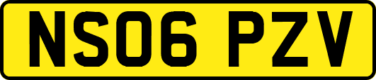 NS06PZV