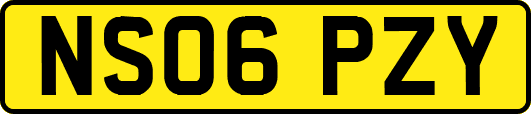 NS06PZY