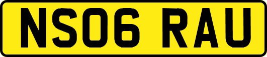 NS06RAU