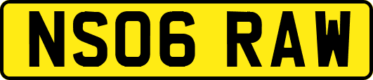 NS06RAW
