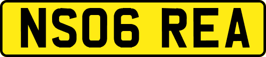 NS06REA