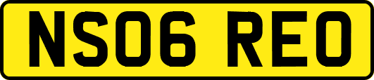 NS06REO