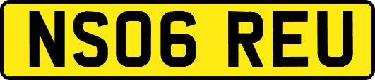 NS06REU