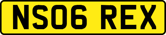 NS06REX