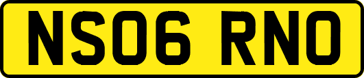 NS06RNO