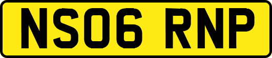 NS06RNP