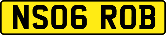 NS06ROB