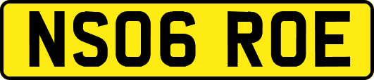 NS06ROE