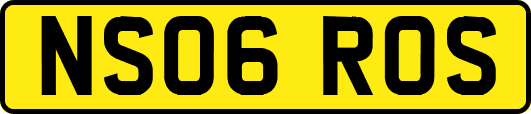 NS06ROS