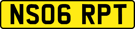 NS06RPT