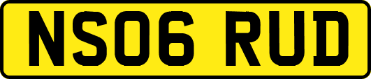 NS06RUD