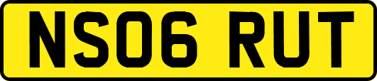 NS06RUT