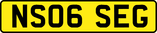 NS06SEG