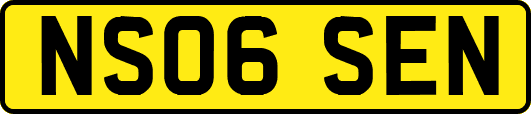 NS06SEN