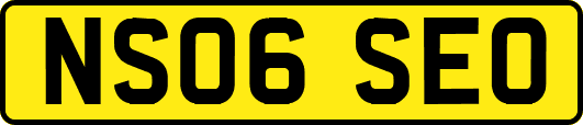 NS06SEO