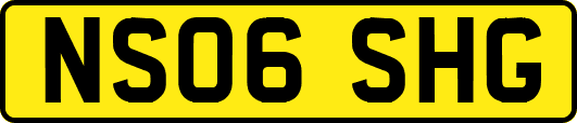 NS06SHG