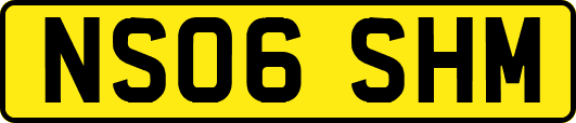 NS06SHM