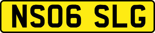 NS06SLG