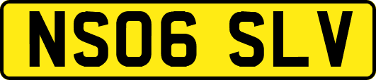 NS06SLV