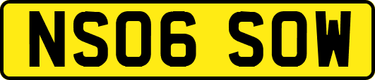 NS06SOW