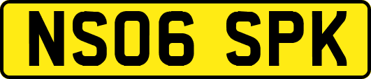 NS06SPK