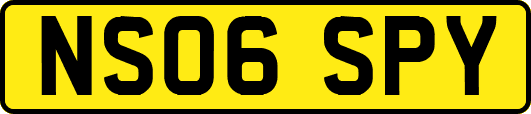 NS06SPY