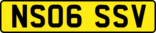 NS06SSV