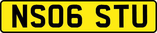 NS06STU