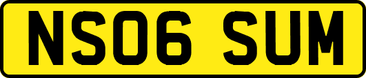 NS06SUM