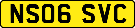 NS06SVC
