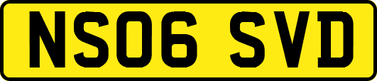 NS06SVD