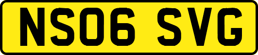 NS06SVG
