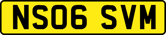 NS06SVM