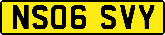 NS06SVY