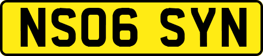 NS06SYN