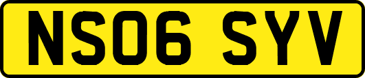 NS06SYV