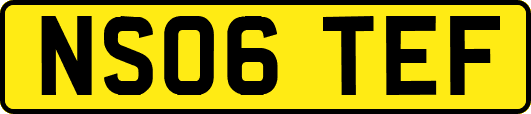 NS06TEF