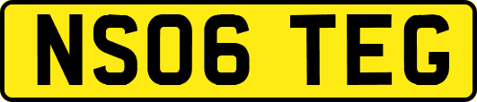 NS06TEG