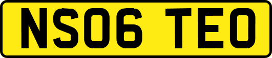 NS06TEO