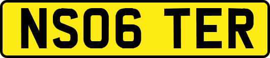 NS06TER