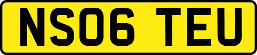 NS06TEU