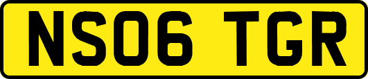 NS06TGR
