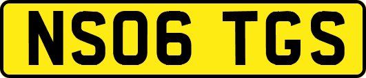 NS06TGS